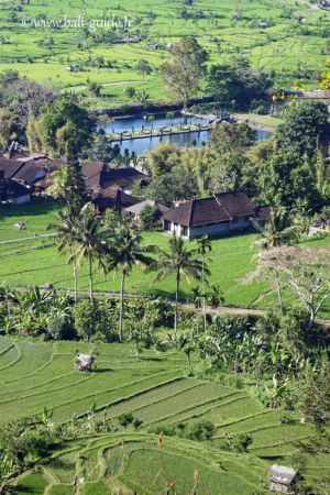 Tirtagangga Bali, vue depuis les rizières